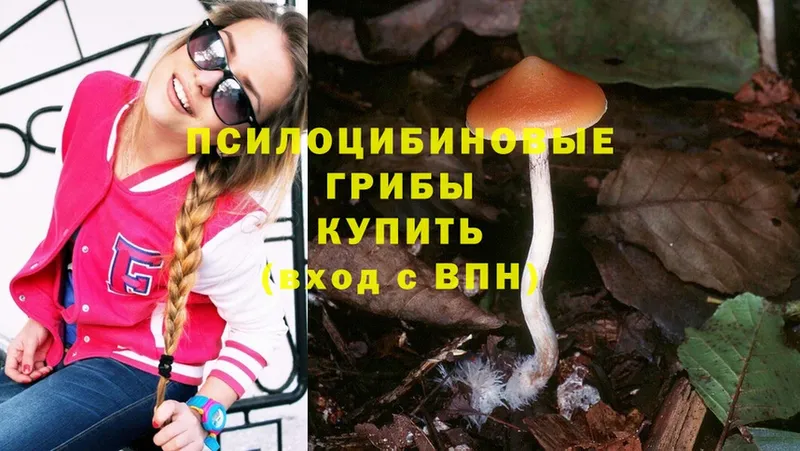 Галлюциногенные грибы MAGIC MUSHROOMS  Белебей 